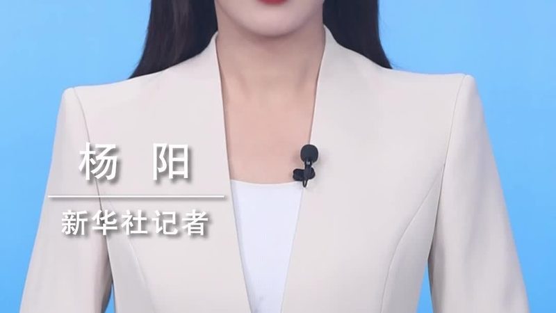数据分析进阶之路：从基础到应用的完整学习路径